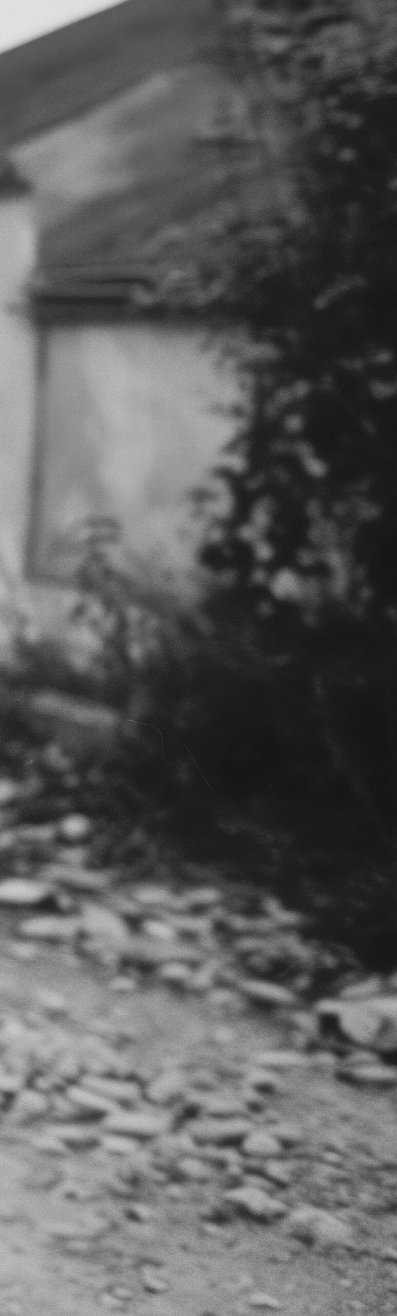 Black and white vintage photo of horror, four kids wearing hallo